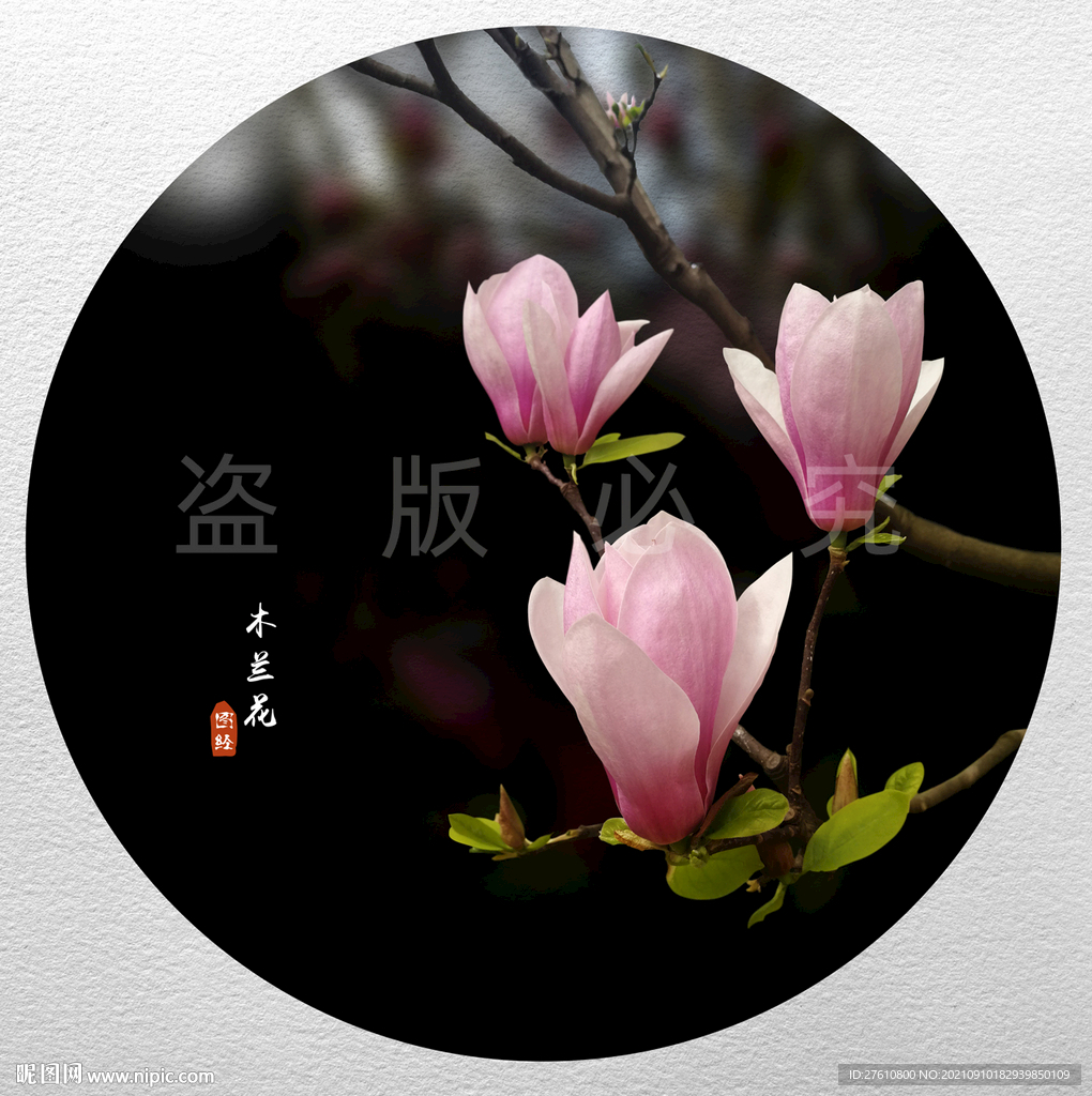 木兰花