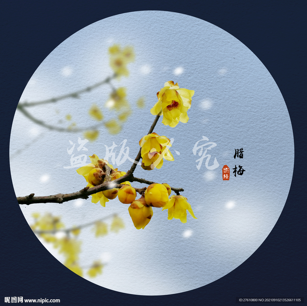 腊梅
