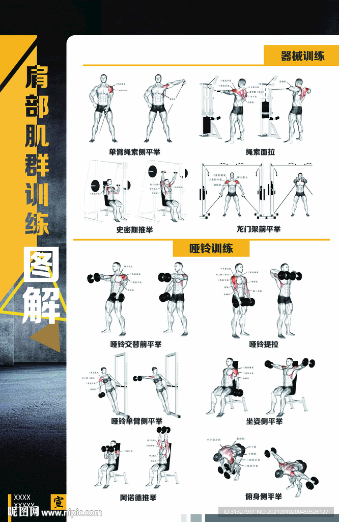 健身房展板文化墙之肩部肌肉训练