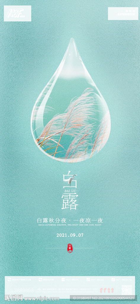 白露海报