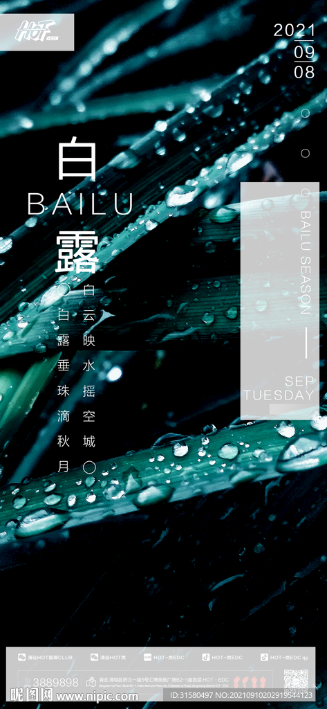 白露海报