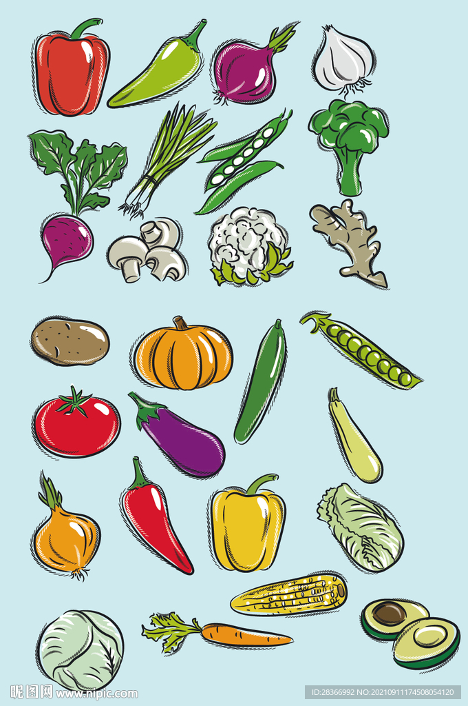 AI矢量手绘蔬菜元素