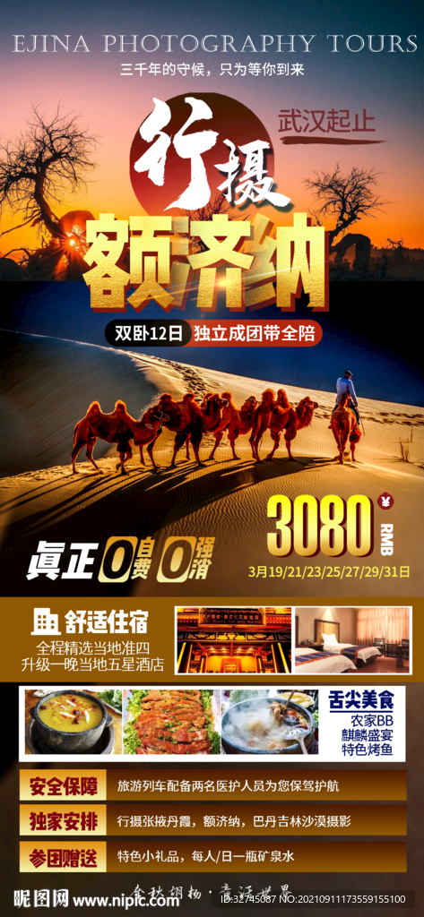 胡杨林
