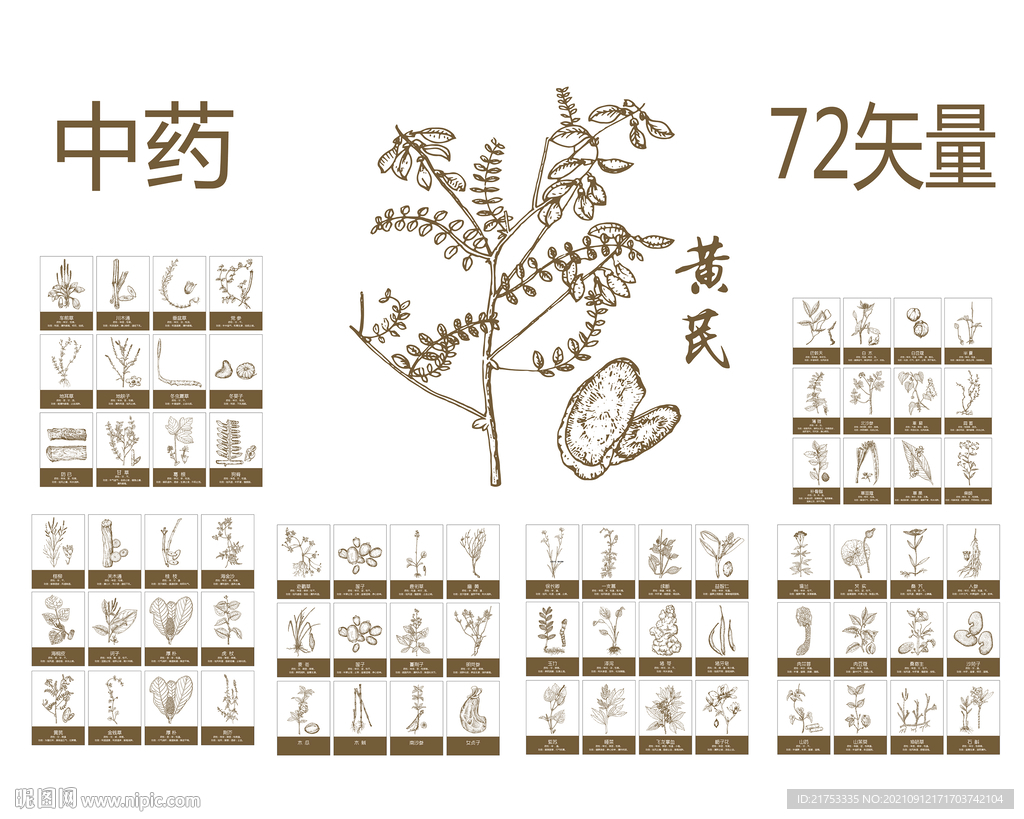 中药矢量图
