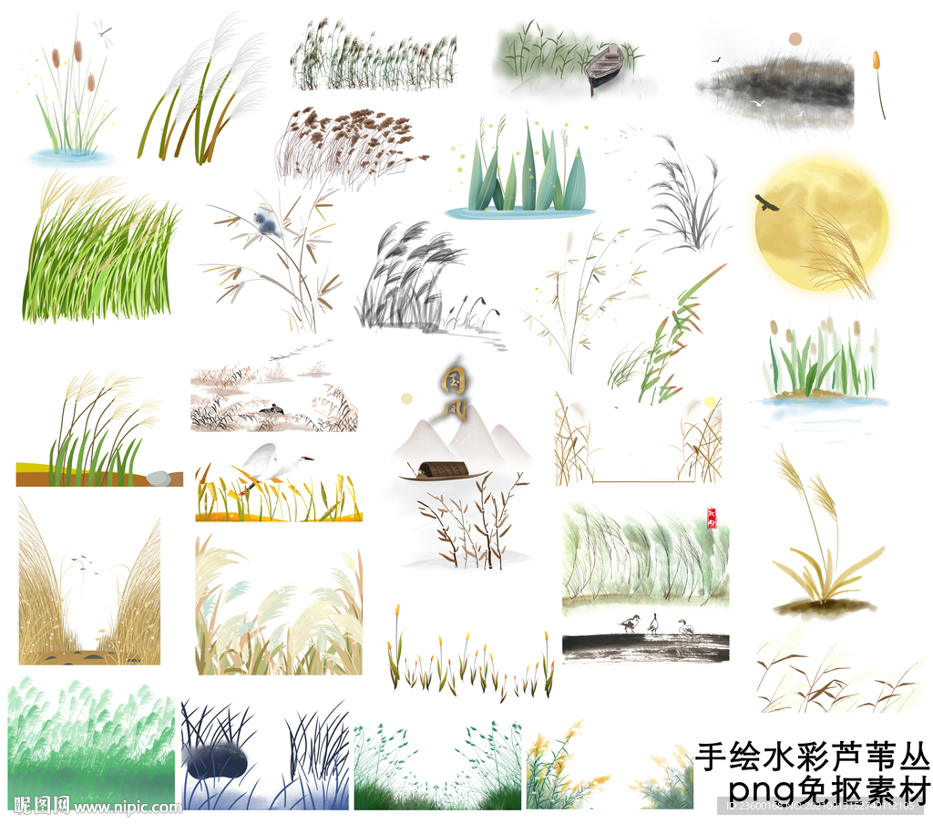 手绘水彩芦苇丛
