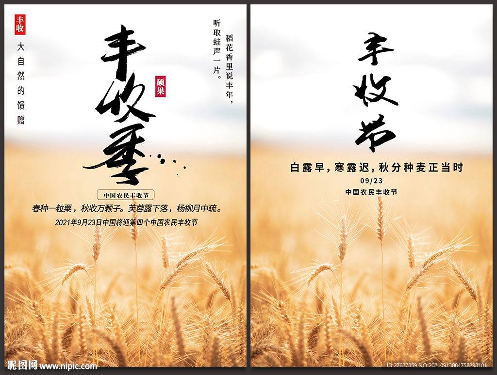 丰收节