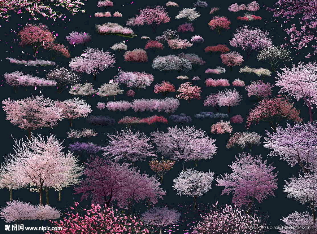 樱花合集