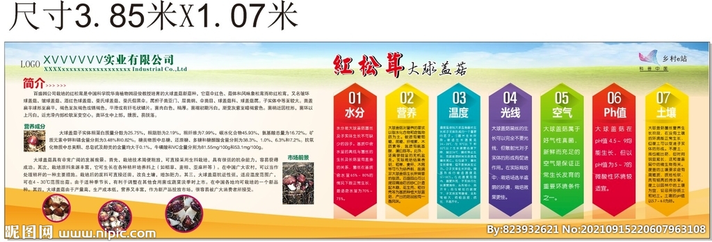  松茸包装 企业简介 松茸文化