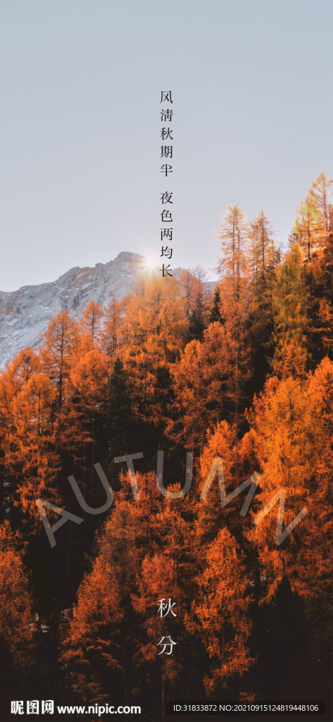 秋分
