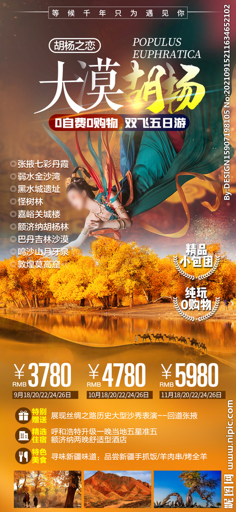 胡杨林