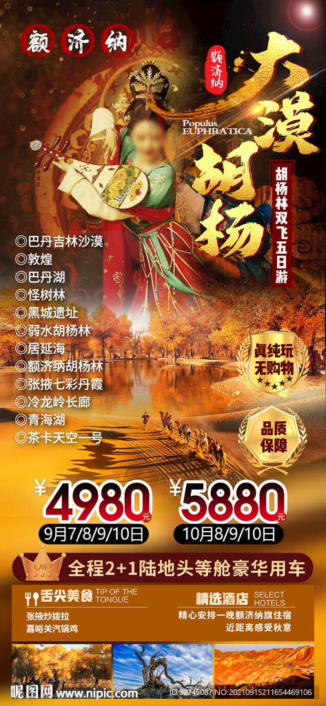 胡杨林
