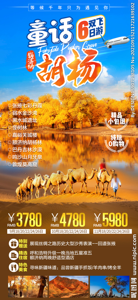 胡杨林