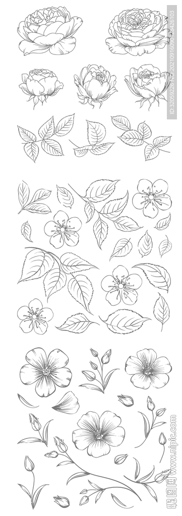 矢量花朵花瓣手绘线稿插画