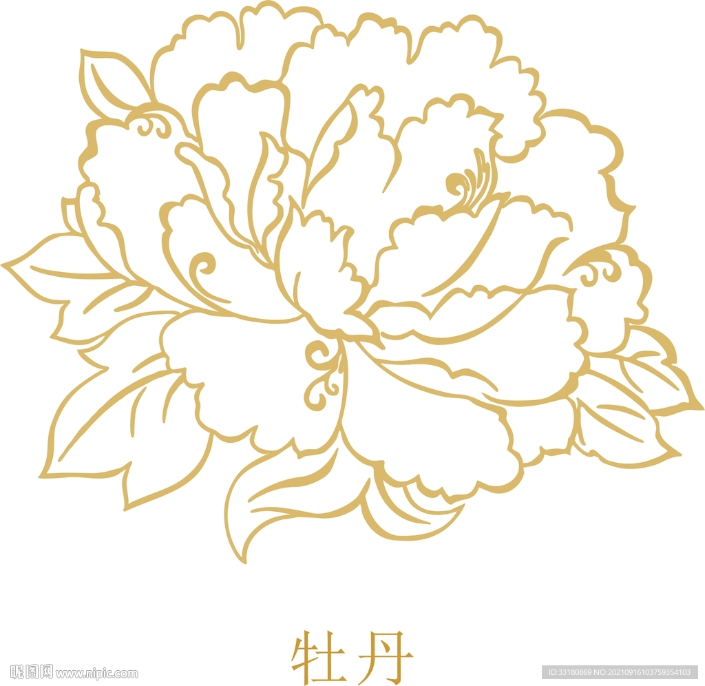 牡丹线描