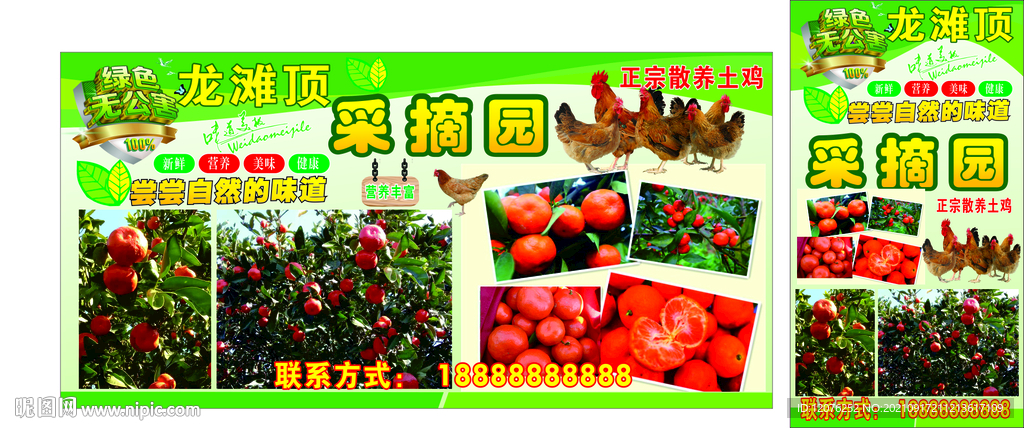 龙潭顶采摘园海报