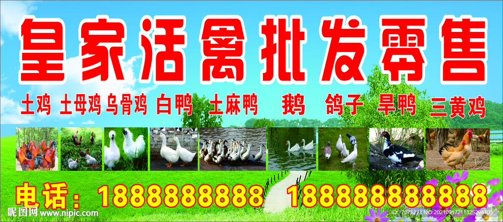 皇家活禽批发零售海报