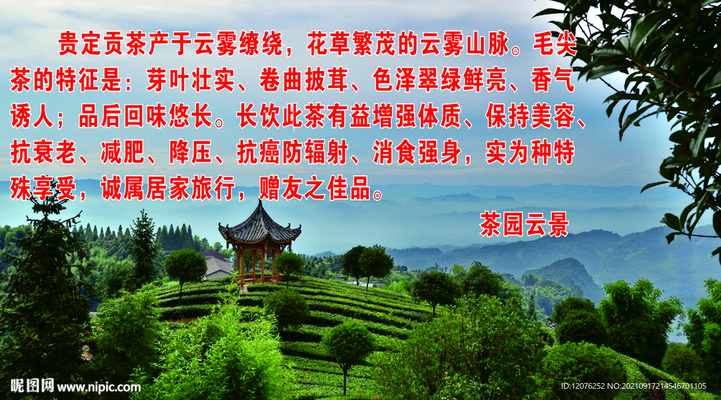 茶园云景海报简介