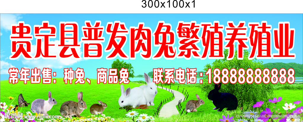 普发肉兔繁殖养殖业海报