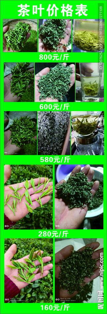 云雾山贡茶简介