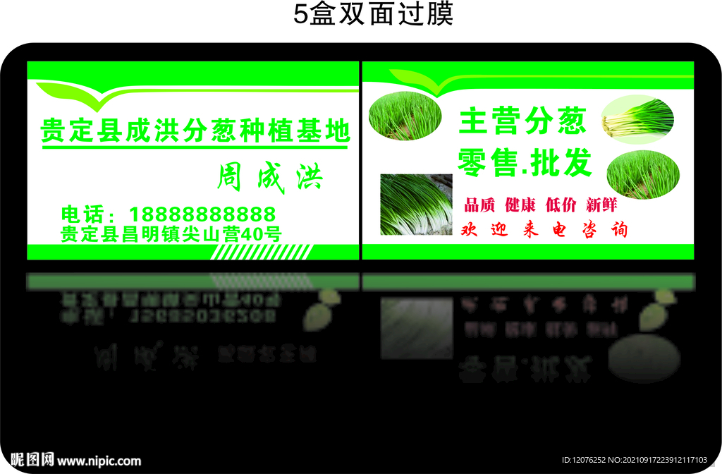 成洪分葱种植基地