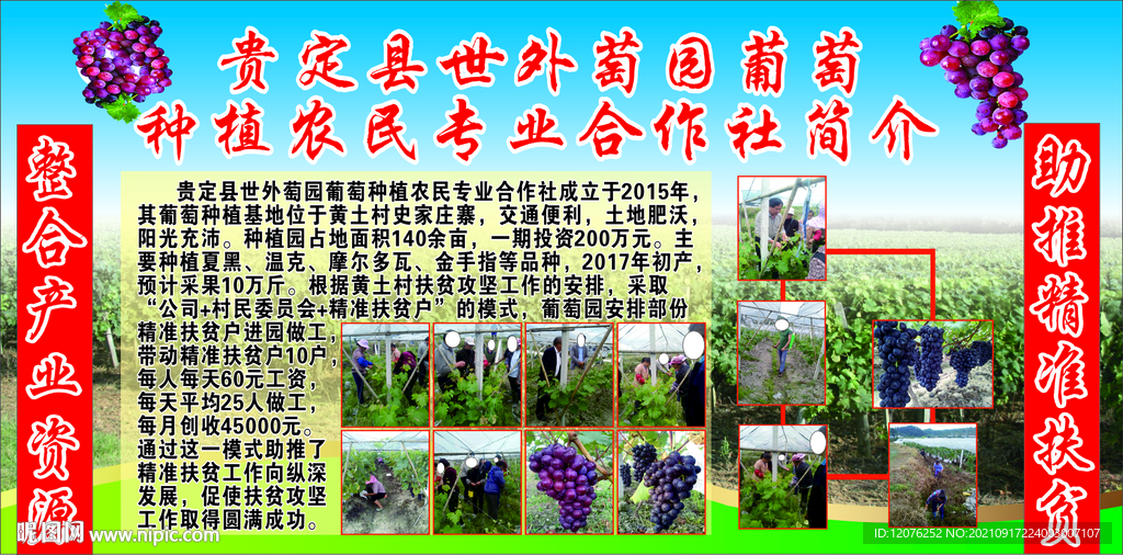 世外葡萄园种植合作社 