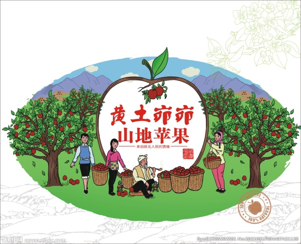 苹果包装 平面图