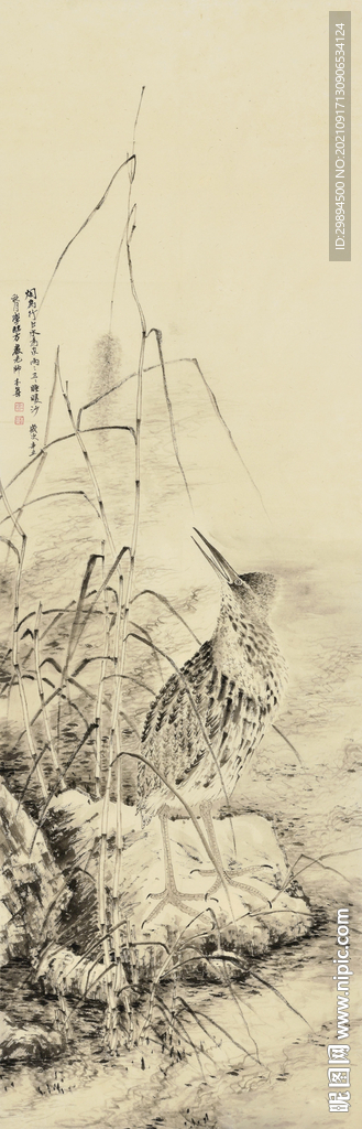 古典花鸟虫鱼中式装饰画