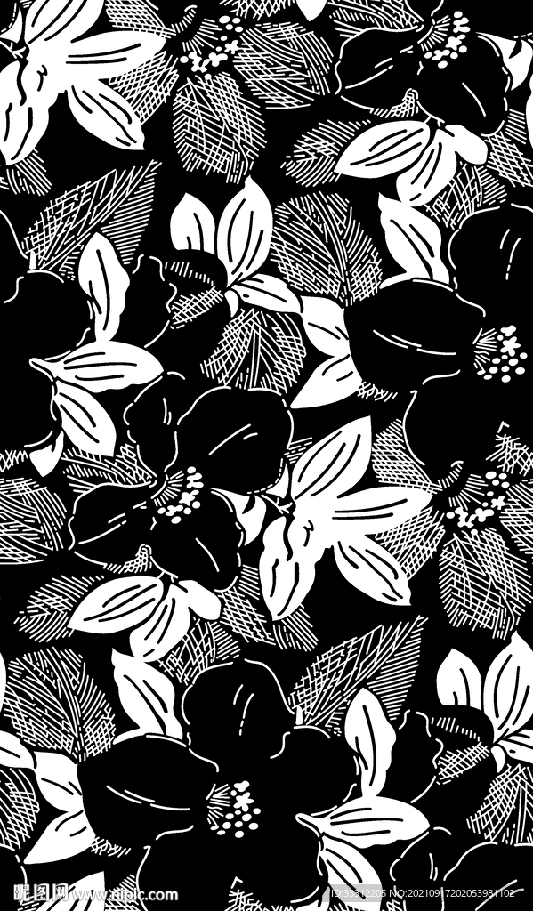 花卉 叶子 黑白  