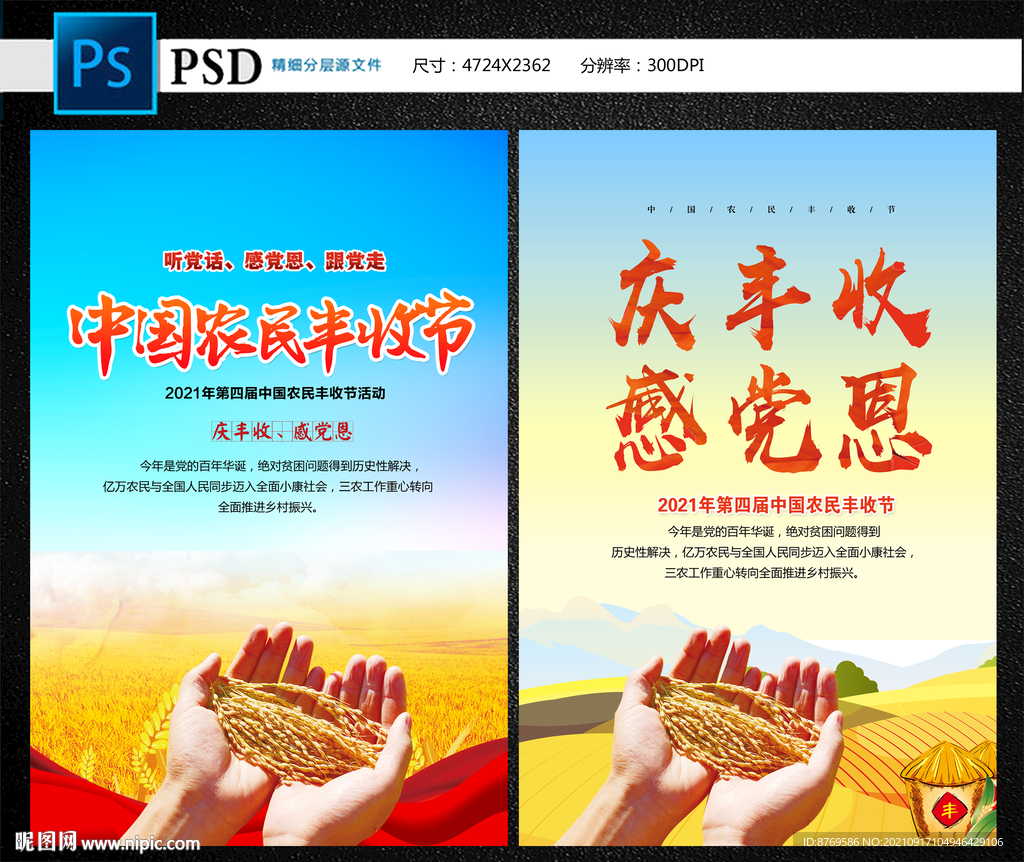 2021年农民丰收节 