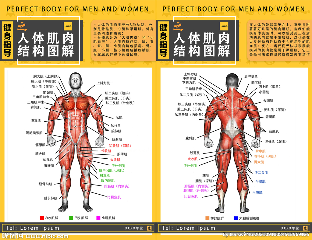 健身房展板装饰画