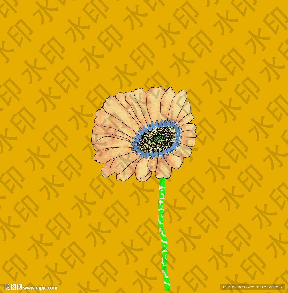 菊花