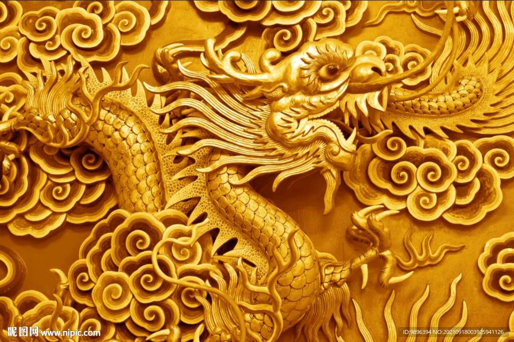 尊贵金龙图