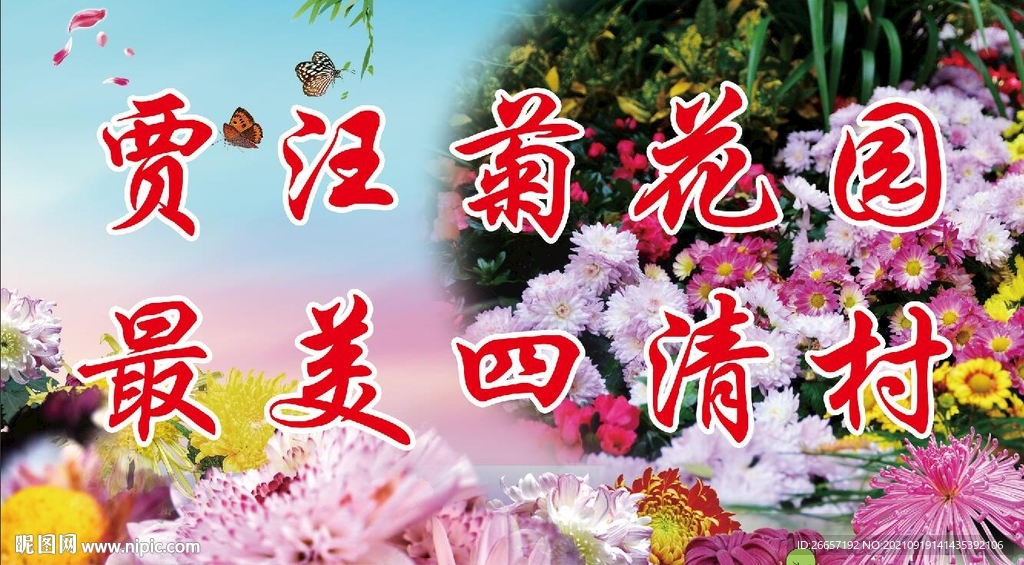 菊花展