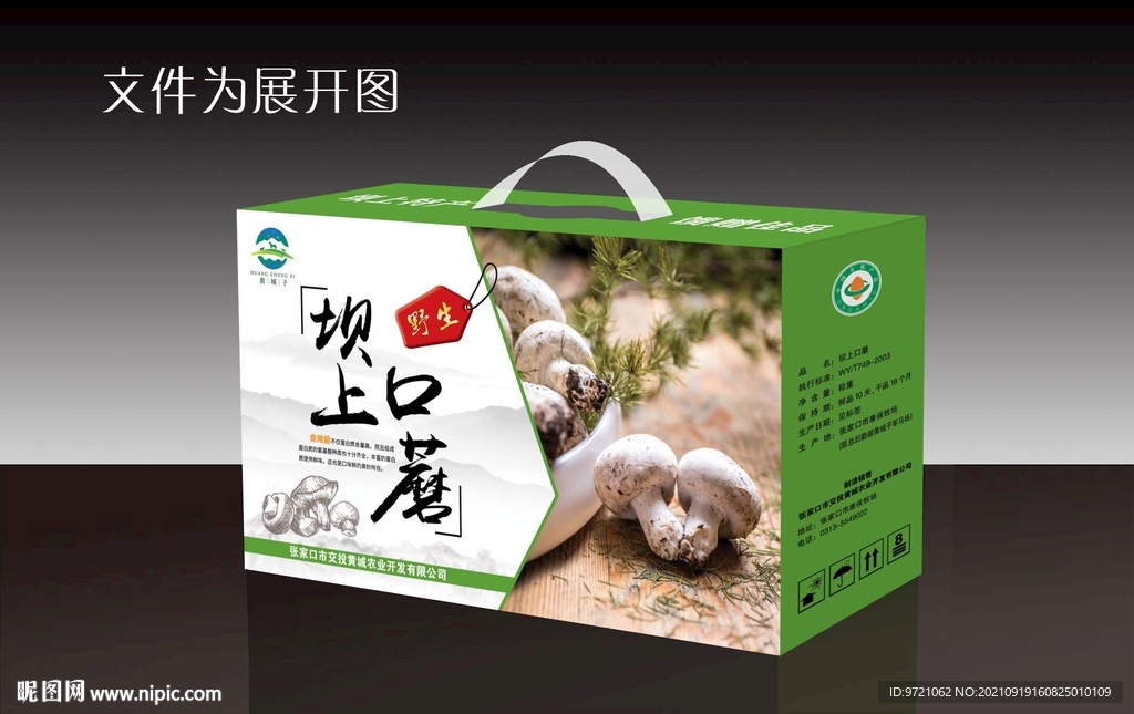坝上口蘑