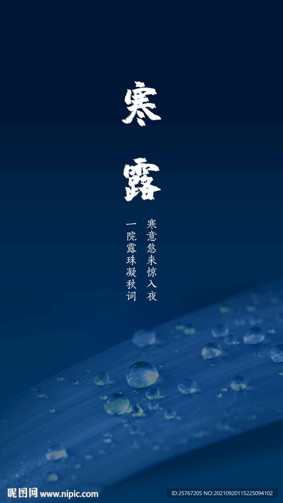寒露24节气节日海报露水