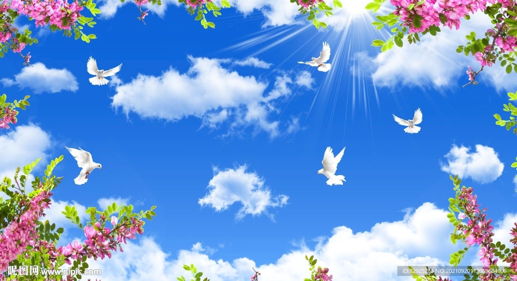 蓝天白云鸽子