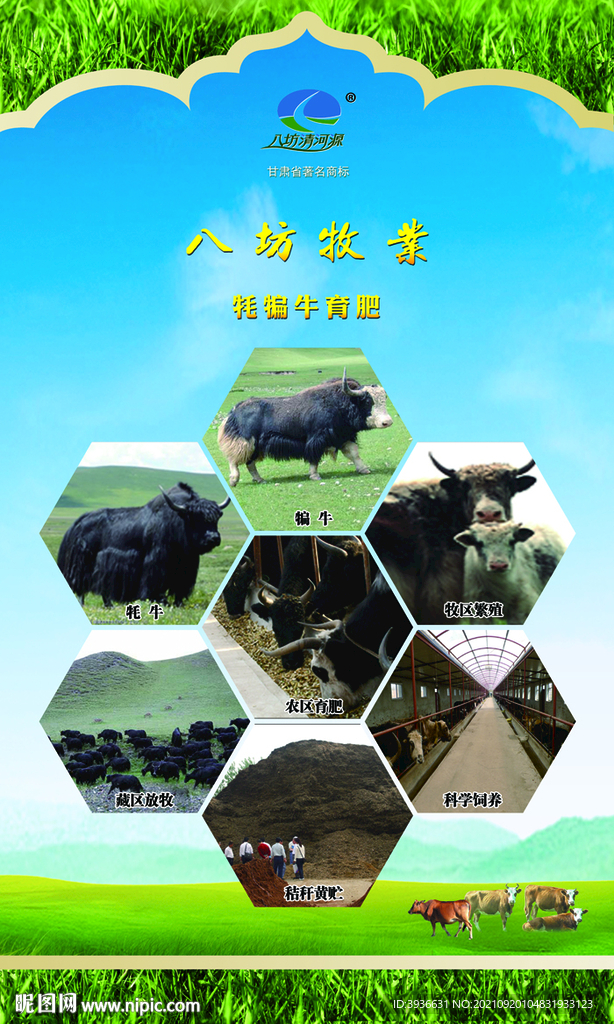 高原畜牧生态牧业肉牛养殖灯箱