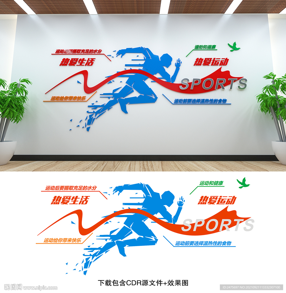 体育文化