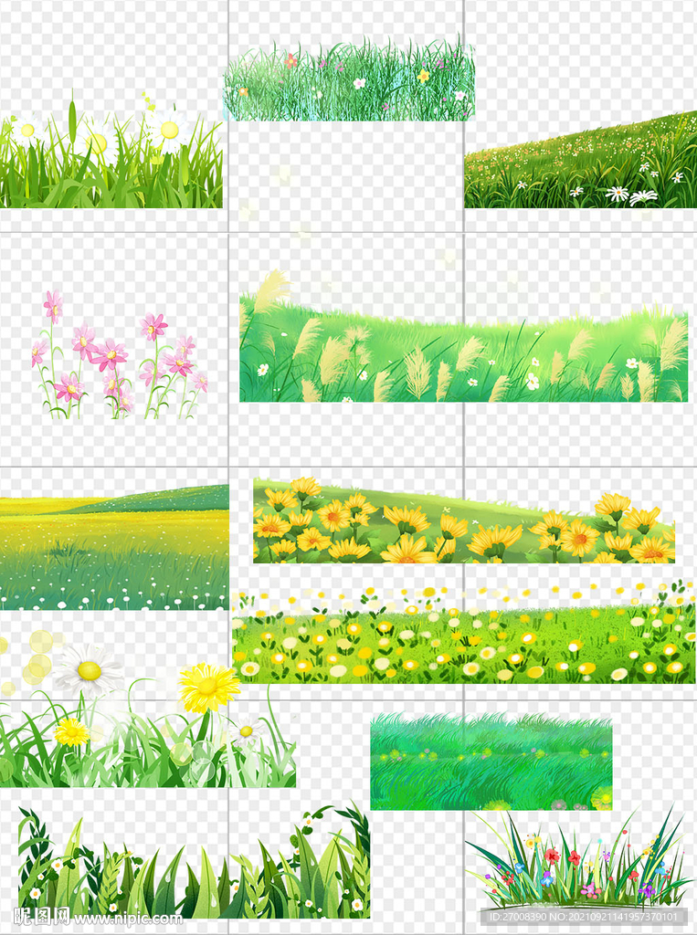 草坪花卉