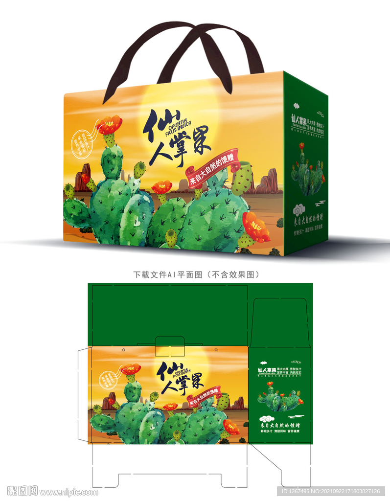 仙人掌果包装