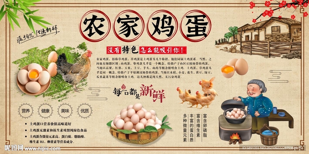 农家鸡蛋背景墙