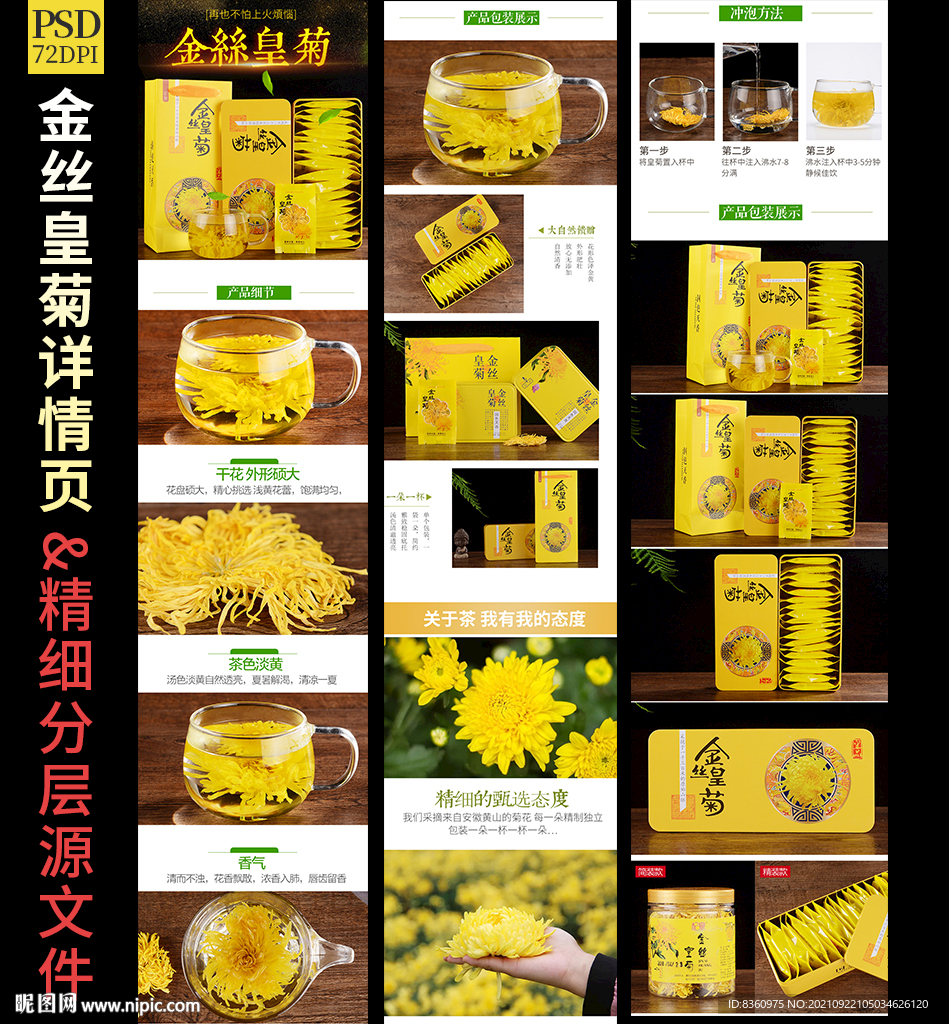 金丝皇菊