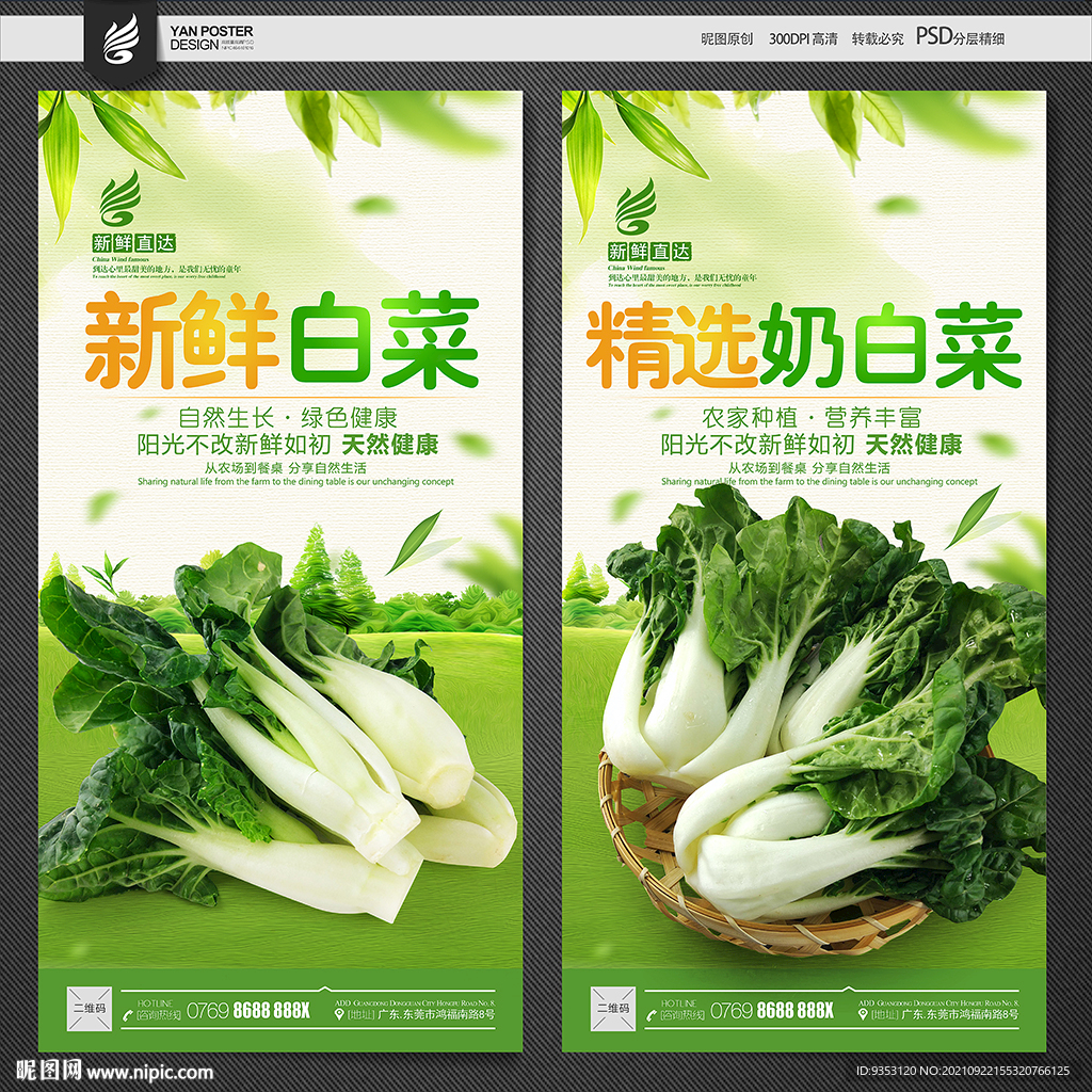 白菜