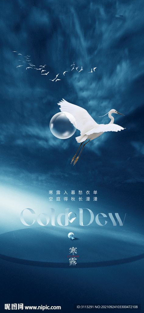 白露节气海报