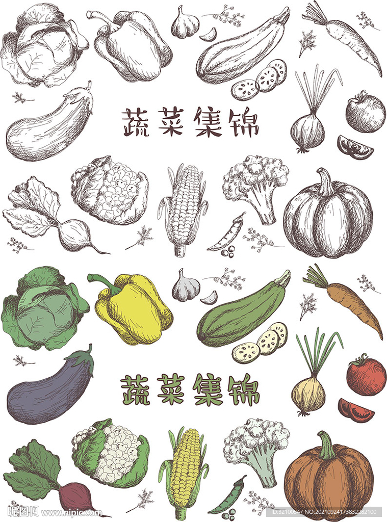 蔬菜集锦