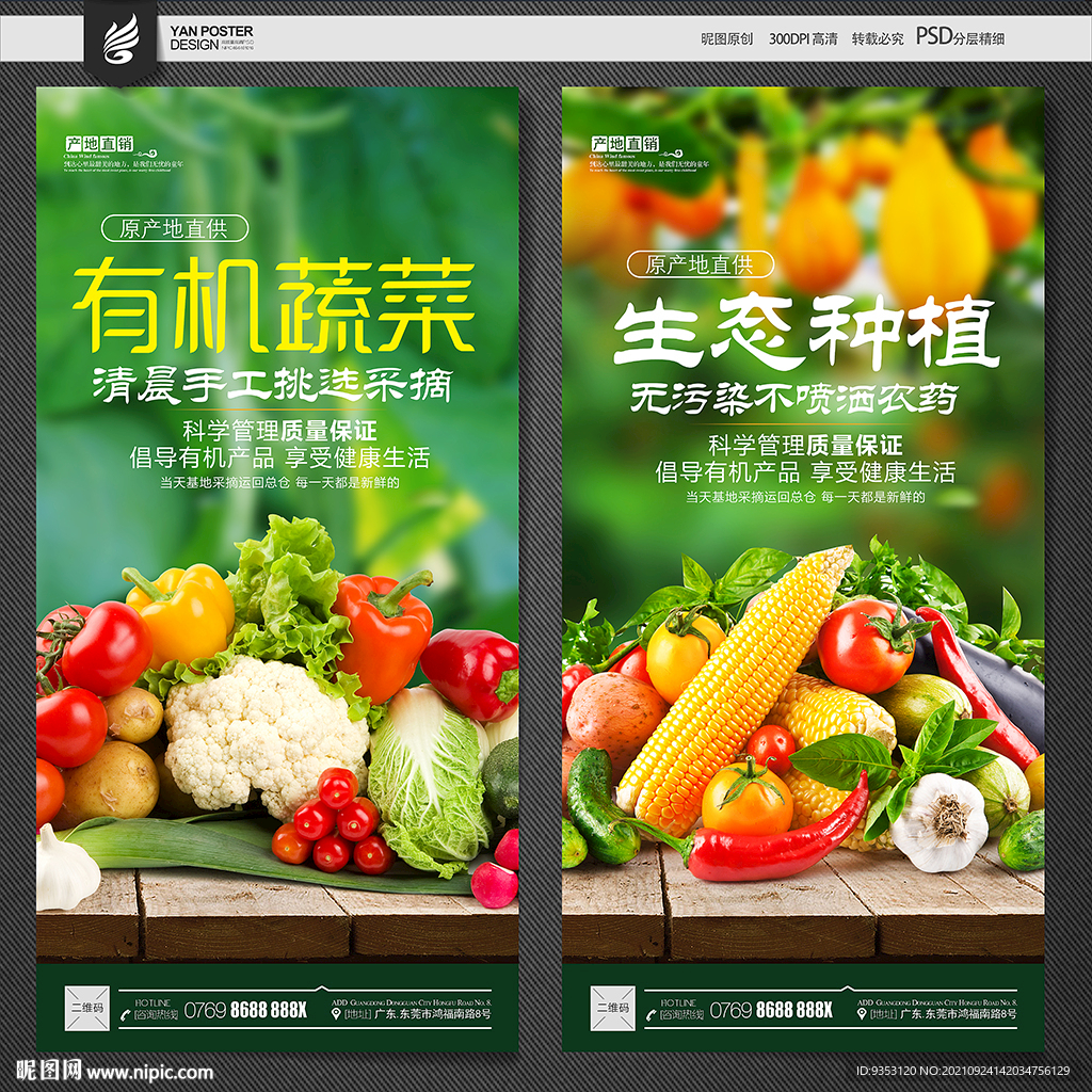 蔬菜海报