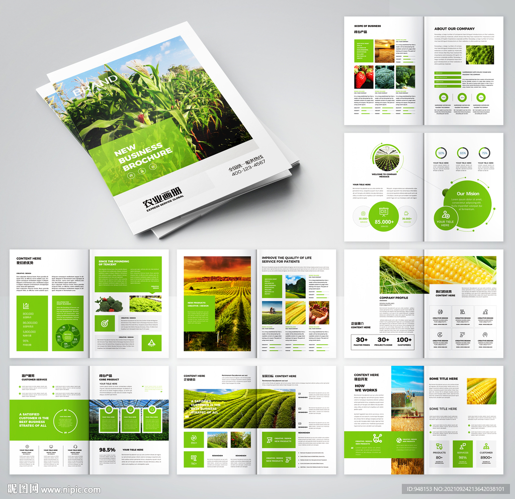 农业画册 农产品宣传册