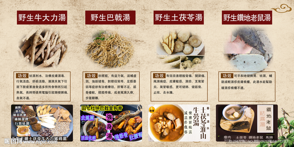 野生牛大力
