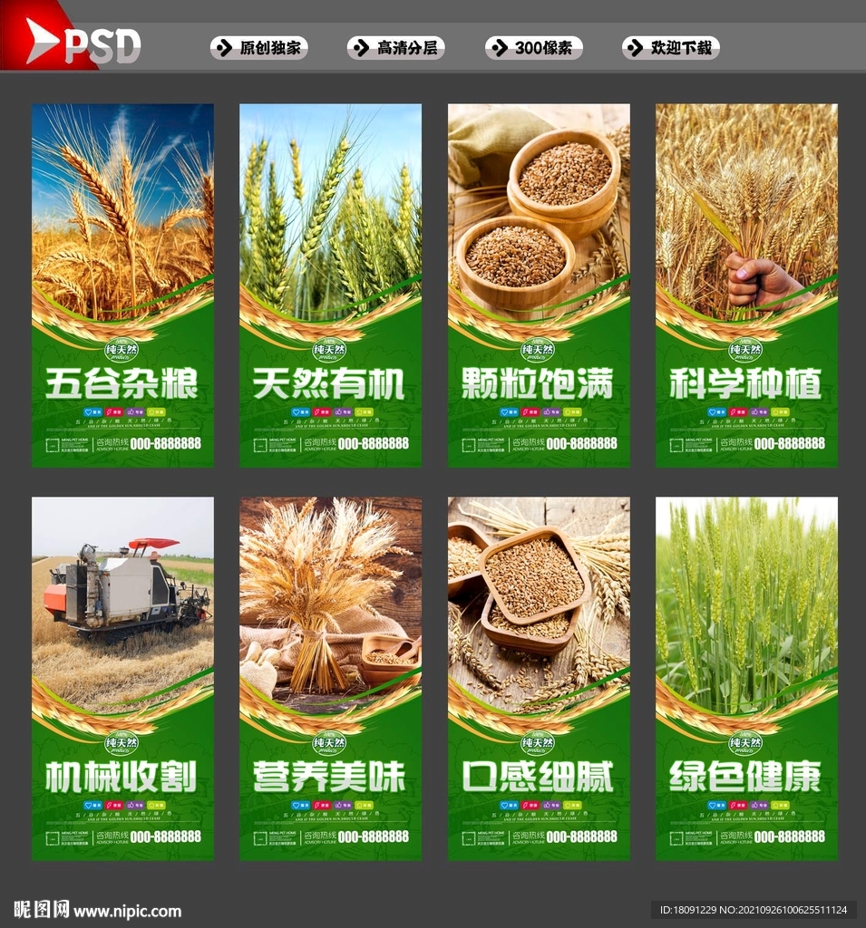 小麦