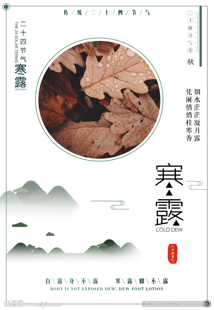 寒露海报